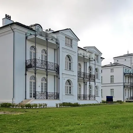 Greif 06 Heiligendamm