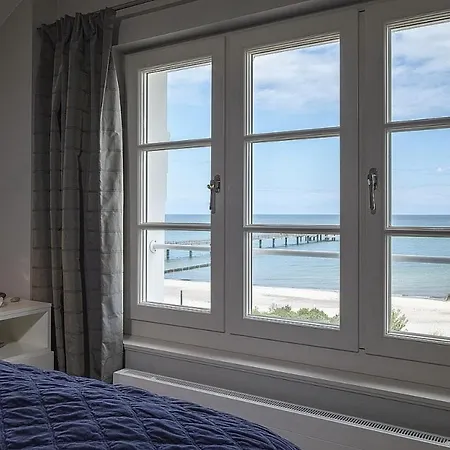 Greif 06 Heiligendamm