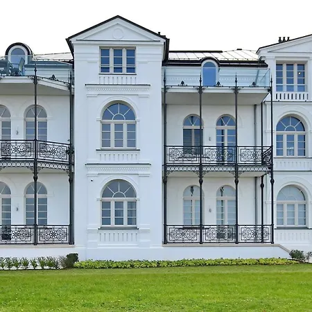 Greif 06 Heiligendamm