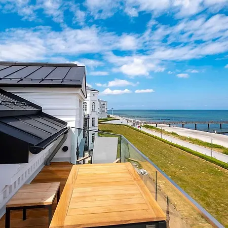 Greif 06 Heiligendamm